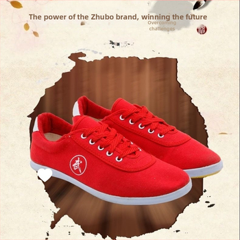 Double Star kovos menų bateliai, drobės viršus, gumos padas, kvėpuojantys, lengvi, neslidūs vidaus treniruotėms