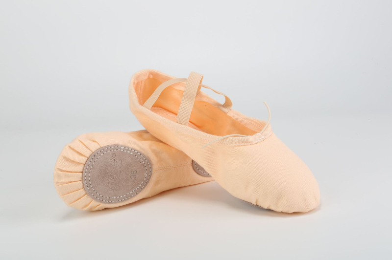 Plesne cipele - unisex (za muškarce i žene); marka The Art of Autumn; potplat od kože; za balet, moderni ples i latino ples; pogodne za plesne sportove
