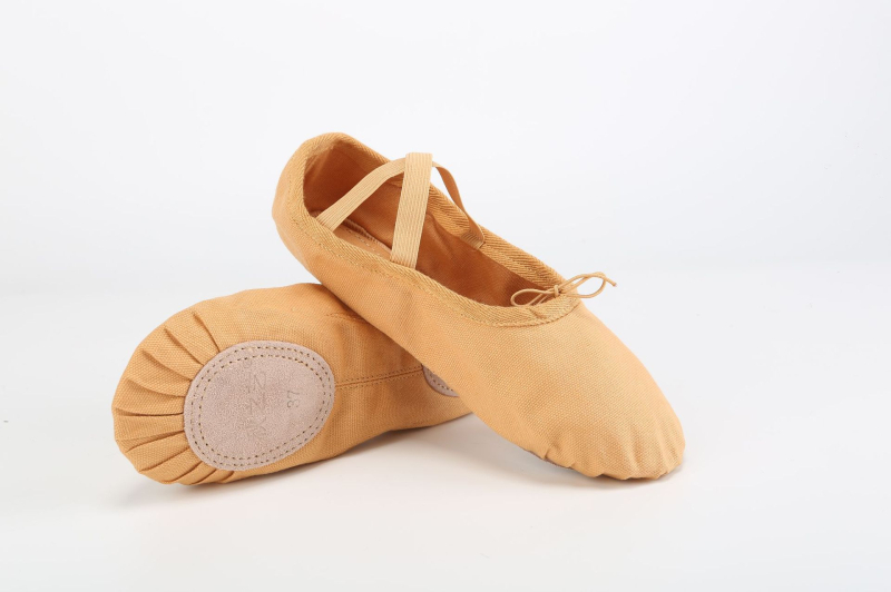 Plesne cipele - unisex (za muškarce i žene); marka The Art of Autumn; potplat od kože; za balet, moderni ples i latino ples; pogodne za plesne sportove