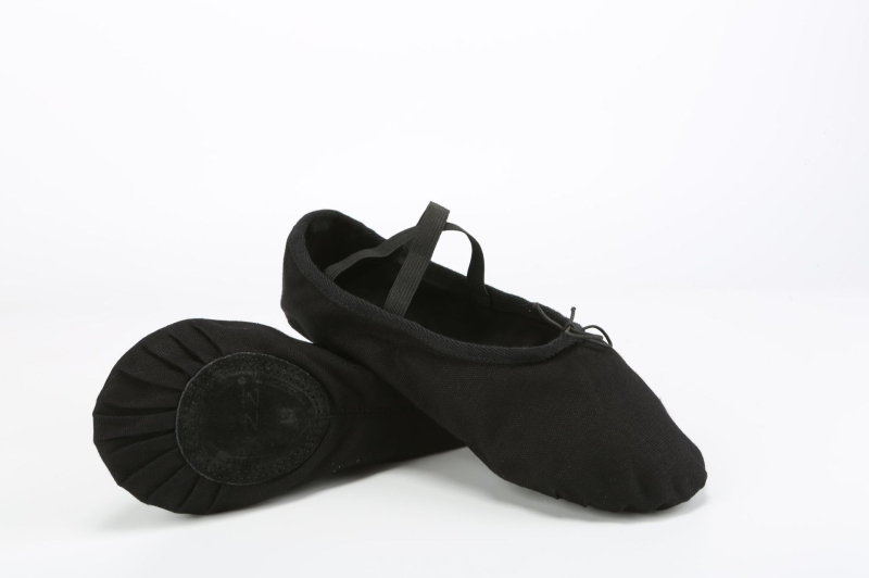 Plesne cipele - unisex (za muškarce i žene); marka The Art of Autumn; potplat od kože; za balet, moderni ples i latino ples; pogodne za plesne sportove