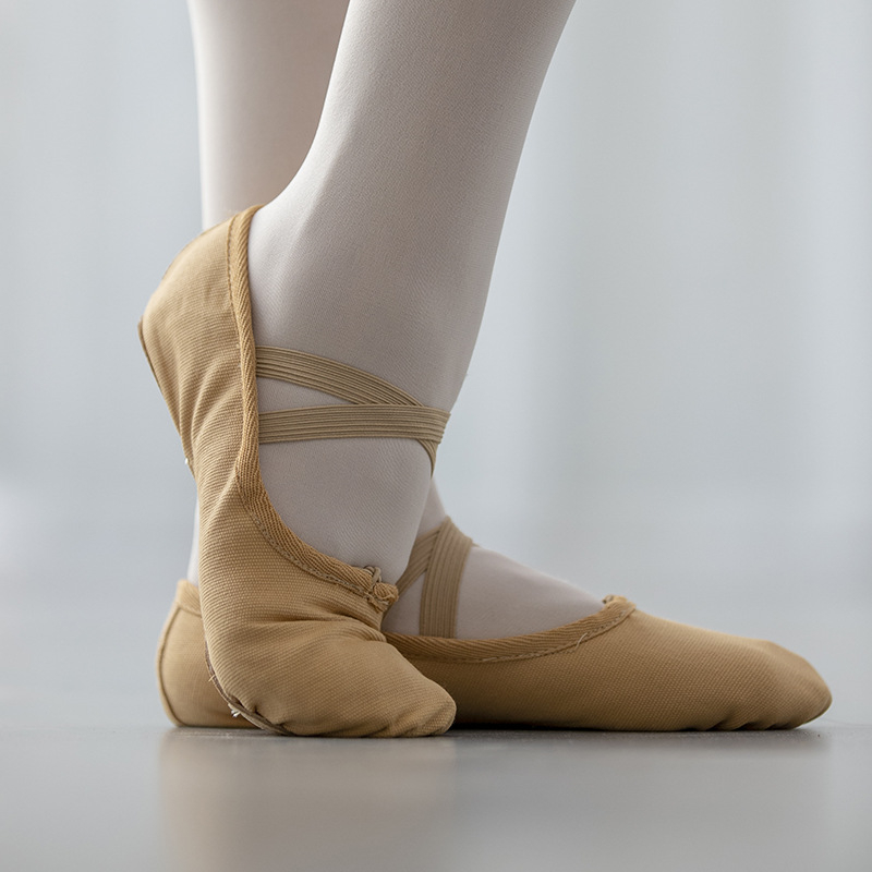 Plesne cipele - unisex (za muškarce i žene); marka The Art of Autumn; potplat od kože; za balet, moderni ples i latino ples; pogodne za plesne sportove