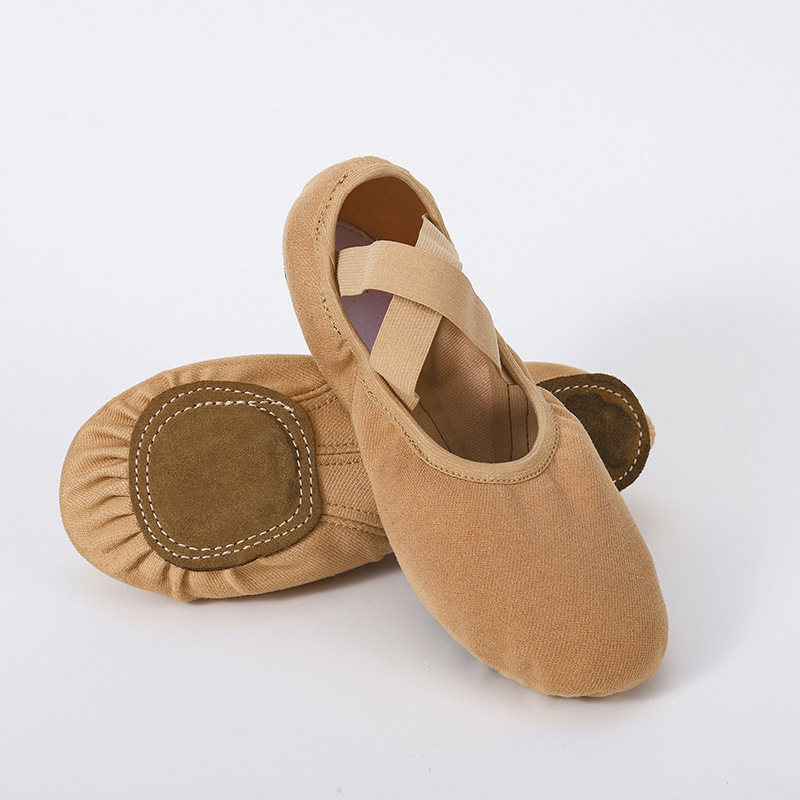 Pantofi de dans – Unisex, pentru adulți, partea superioară Lycra elastică, talpă din piele, balet și dans modern (Toate sezoanele)