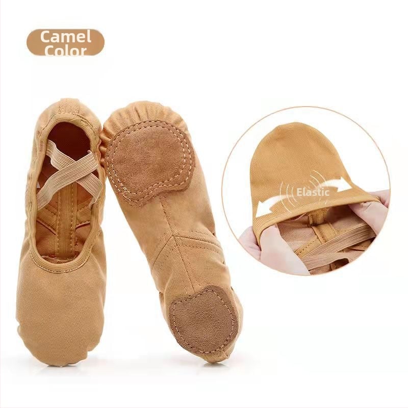 Plesne cipele – gornji dio Lycra Stretch, kožna potplata; prozračna, lagana, otporna na habanje; za balet, moderni ples i latino ples (odrasli, unisex)