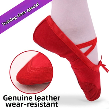 Baleto minkšti bateliai su kanvos viršumi, unisex, neutralaus stiliaus, minkšta padas