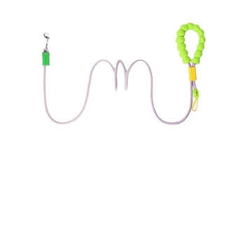 Λουρί σκύλου από PP, προέλευση Zhejiang, μη επεκτειόμενο, κατηγορία: ιμάντες για κατοικίδια