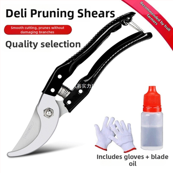 QIYUN Škare za orezivanje voćnih stabala, uštedljivi vrtni alat za rezanje grana i cvijeća u teglama