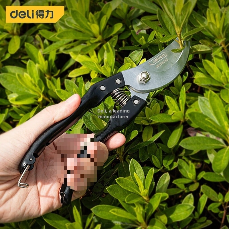 QIYUN Škare za orezivanje voćnih stabala, uštedljivi vrtni alat za rezanje grana i cvijeća u teglama