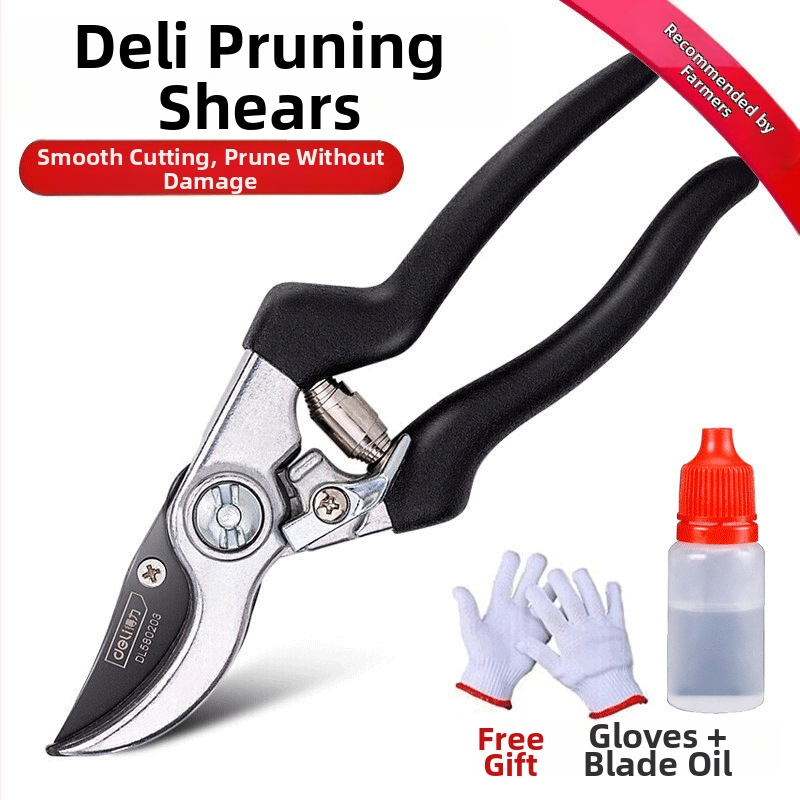 QIYUN Škare za orezivanje voćnih stabala, uštedljivi vrtni alat za rezanje grana i cvijeća u teglama