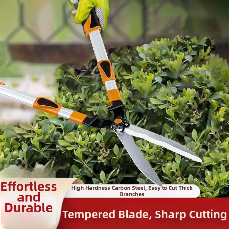 Kertészeti metszőolló otthoni használatra, virágok és sövény vágásához, vastag ágakhoz