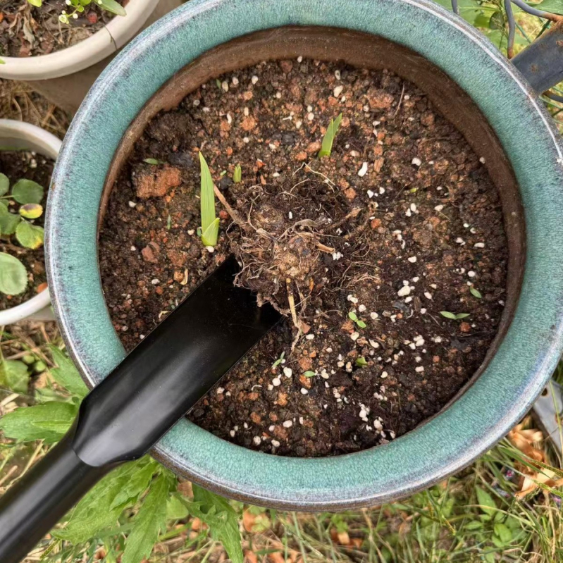 Градинарска лопата - интегриран дизайн от манганова стомана за пресаждане и засаждане в саксии, лезвие от неръждаема стомана, общо предназначение, персонализируемо | Марка Shang ting