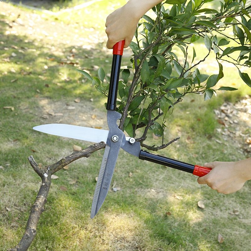 Vrtne škare za podrezivanje živice i debele grane, za voćke