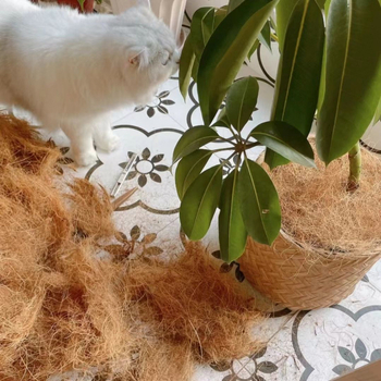 Cană de udare/Sticlă de pulverizat — husă decorativă pentru ghiveci din fibre de cocos (Material: Alt; Import: Nu; Brand: Alt; Scenarii aplicabile: Călătorii de agrement)