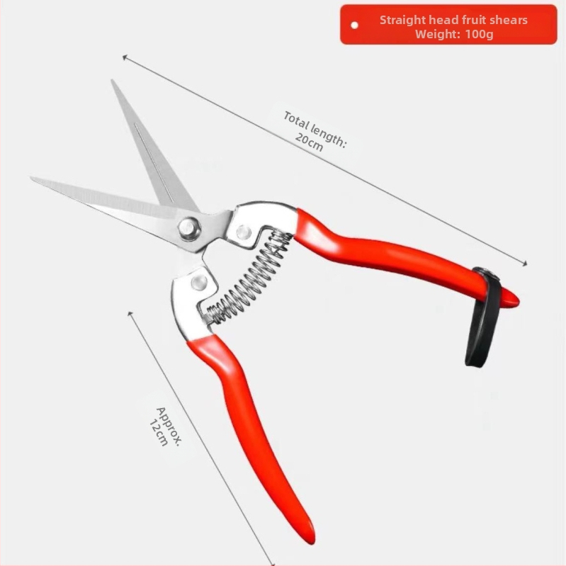 Golden Dragon roostevabast terasest lõikekääred viljade ja lillede jaoks, lõike diameeter 60 mm, kaal 0,1 kg, käepide terasest