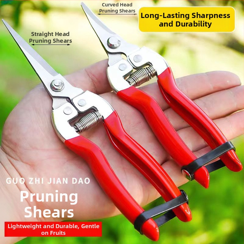 Golden Dragon roostevabast terasest lõikekääred viljade ja lillede jaoks, lõike diameeter 60 mm, kaal 0,1 kg, käepide terasest