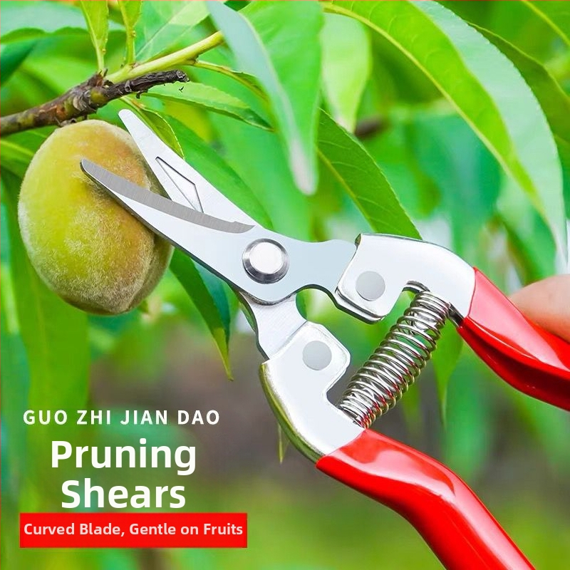 Golden Dragon roostevabast terasest lõikekääred viljade ja lillede jaoks, lõike diameeter 60 mm, kaal 0,1 kg, käepide terasest