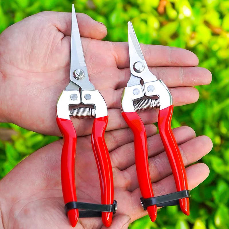 Golden Dragon ножици за подрязване от неръждаема стомана за плодове и цветя, диаметър на подрязване 60 мм, тегло 0,1 кг, дръжка от стомана