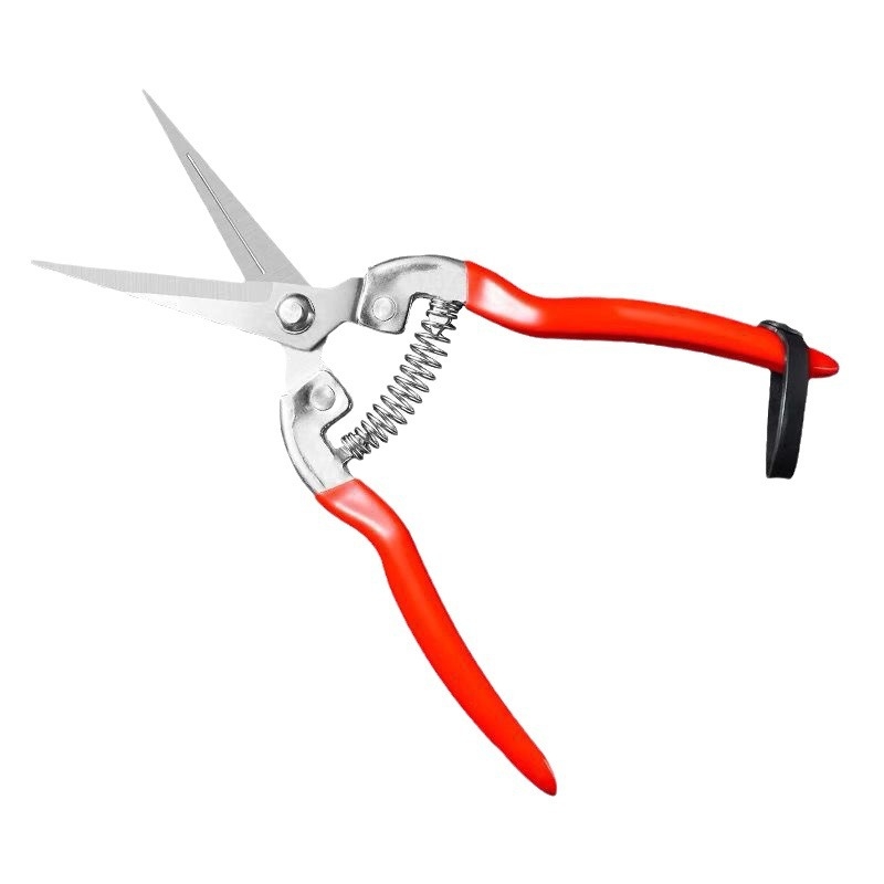 Golden Dragon ножици за подрязване от неръждаема стомана за плодове и цветя, диаметър на подрязване 60 мм, тегло 0,1 кг, дръжка от стомана