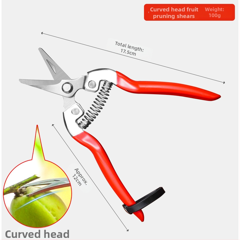 Golden Dragon roostevabast terasest lõikekääred viljade ja lillede jaoks, lõike diameeter 60 mm, kaal 0,1 kg, käepide terasest
