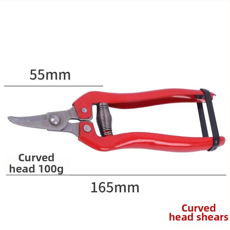 Golden Dragon roostevabast terasest lõikekääred viljade ja lillede jaoks, lõike diameeter 60 mm, kaal 0,1 kg, käepide terasest