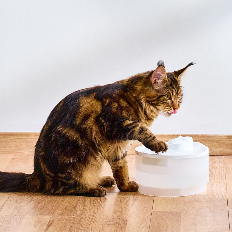 Διανομέας νερού για κατοικίδια με έλεγχο μέσω εφαρμογής, αποσπώμενο, μεγάλης χωρητικότητας, για σκύλους και γάτες | Μοντέλο Ch-iwd004