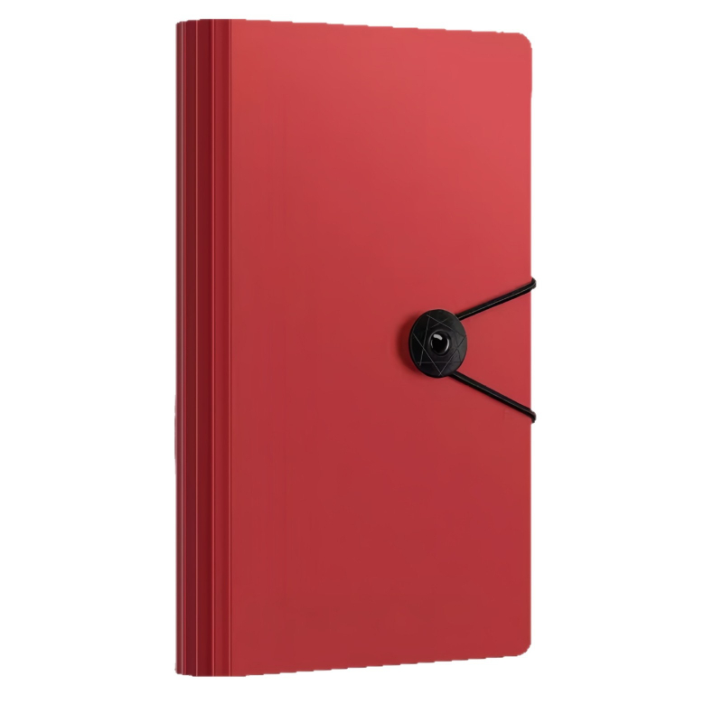 Depozītu kvītu uzglabāšanas albums, modelis ar saitēm, materiāls PP