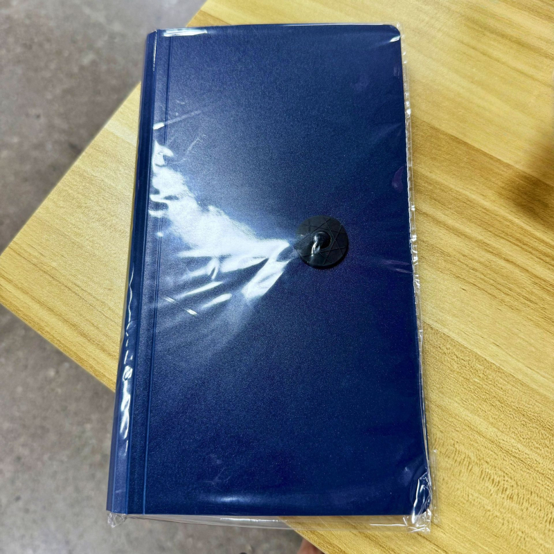 Depozītu kvītu uzglabāšanas albums, modelis ar saitēm, materiāls PP