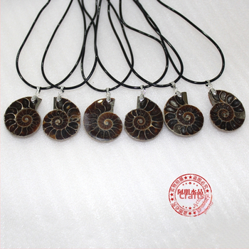 Ogrlica s fosilom od kristala — Brand: Appen Crystal Crafts; Stil: Moderna jednostavnost; Pakiranje: kartonsko pakiranje; Kategorija: Fosilna ogrlica