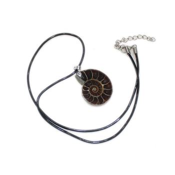 Ogrlica s fosilom od kristala — Brand: Appen Crystal Crafts; Stil: Moderna jednostavnost; Pakiranje: kartonsko pakiranje; Kategorija: Fosilna ogrlica