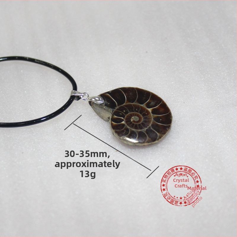 Ogrlica s fosilom od kristala — Brand: Appen Crystal Crafts; Stil: Moderna jednostavnost; Pakiranje: kartonsko pakiranje; Kategorija: Fosilna ogrlica