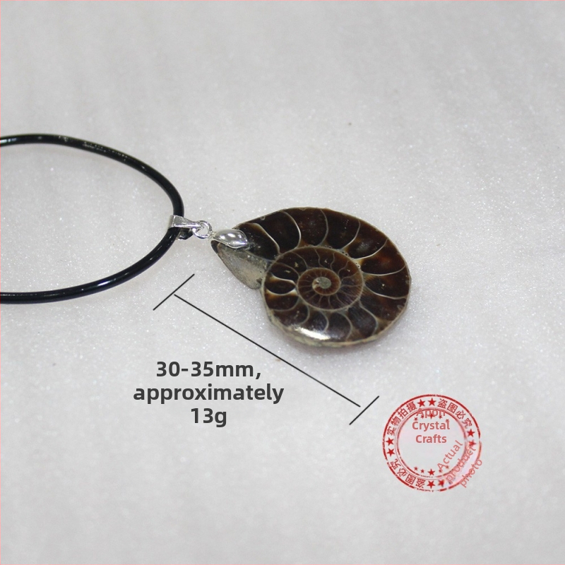 Ogrlica s fosilom od kristala — Brand: Appen Crystal Crafts; Stil: Moderna jednostavnost; Pakiranje: kartonsko pakiranje; Kategorija: Fosilna ogrlica