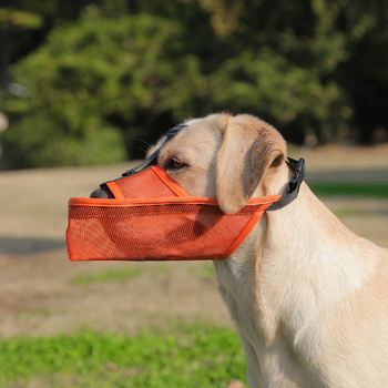 Κάλυμμα στόματος σκύλου – αντιδάγκωμα, αντικατάποση, διαπνέον δίκτυο, πλαστική κατασκευή; μάρκα Shiranui; 200 τεμάχια ανά κουτί.