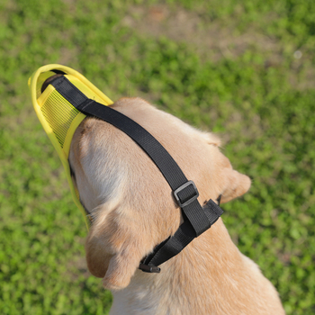 Κάλυμμα στόματος σκύλου – αντιδάγκωμα, αντικατάποση, διαπνέον δίκτυο, πλαστική κατασκευή; μάρκα Shiranui; 200 τεμάχια ανά κουτί.