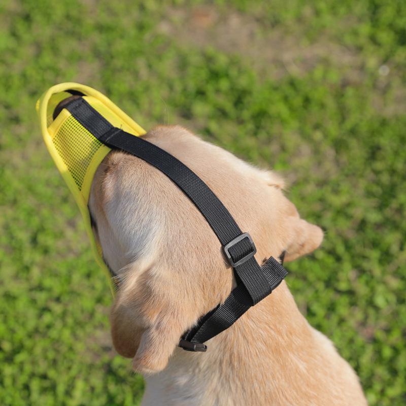 Κάλυμμα στόματος σκύλου – αντιδάγκωμα, αντικατάποση, διαπνέον δίκτυο, πλαστική κατασκευή; μάρκα Shiranui; 200 τεμάχια ανά κουτί.