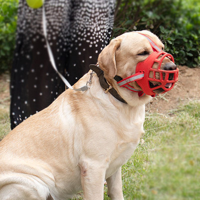 Μάσκα σκύλου από TPE με διαπερατό πλέγμα, αντιδαγκωτικό