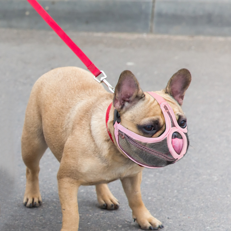 Textil botmaska kutyáknak, rövid pofa dizájn, harapás elleni, evés elleni védelem, univerzális francia bulldog és mopsz számára.
