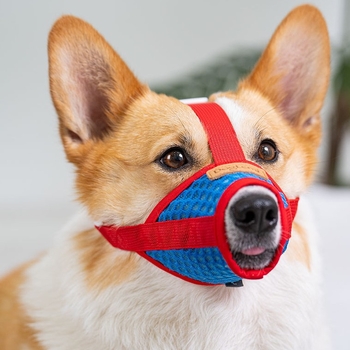 Μπούζελ σκύλου, πλέγμα, αποτροπή δαγκώματος και γαβίσματος, κατάλληλο για μικρές ράτσες όπως Τέντι, Κόργκι και Σίμπα Ινού