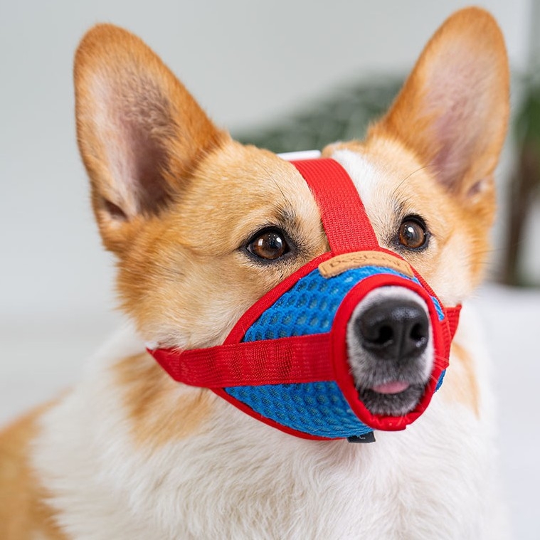 Μπούζελ σκύλου, πλέγμα, αποτροπή δαγκώματος και γαβίσματος, κατάλληλο για μικρές ράτσες όπως Τέντι, Κόργκι και Σίμπα Ινού