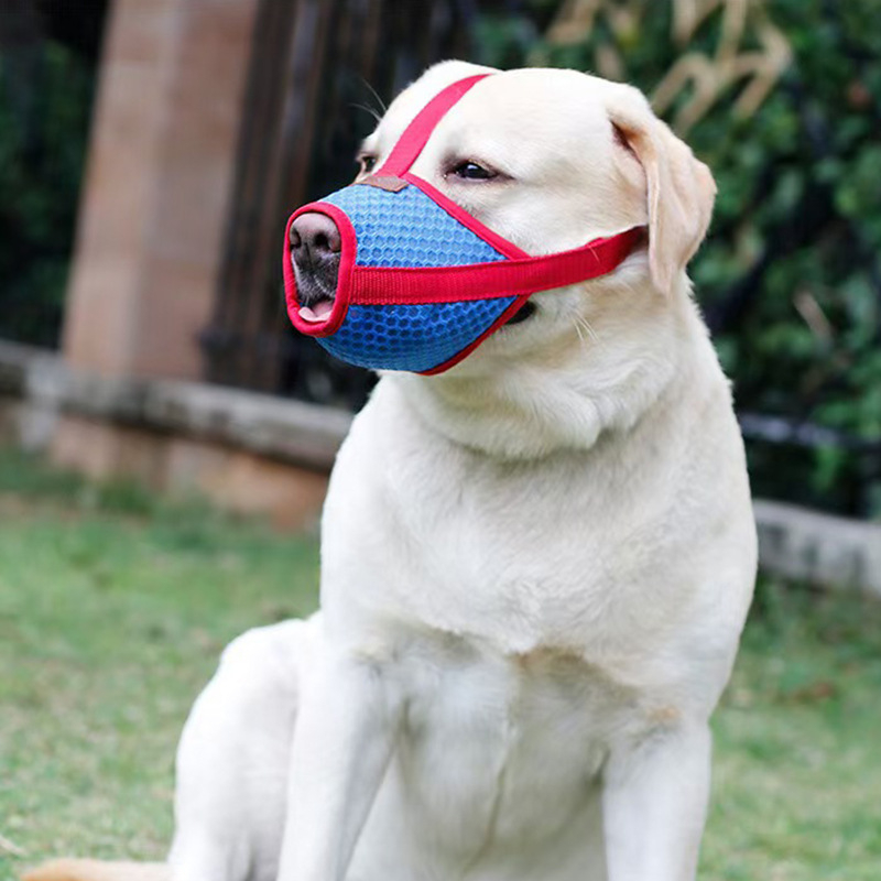 Μπούζελ σκύλου, πλέγμα, αποτροπή δαγκώματος και γαβίσματος, κατάλληλο για μικρές ράτσες όπως Τέντι, Κόργκι και Σίμπα Ινού