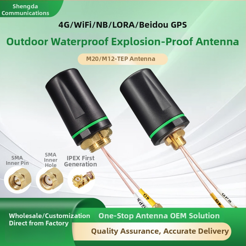 WiFi antena M20, sprogimo atspari, vandeniui atsparus korpusas, 4G Beidou GPS LoRa
