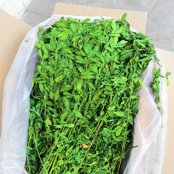 Sausa barība mājdzīvniekiem, vispārējai lietošanai; svars 1 kg; iepakojums 750 g; kategorija: mājdzīvnieku barība