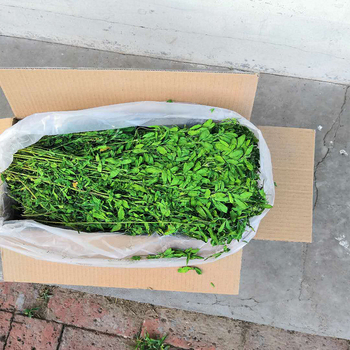 Sausa barība mājdzīvniekiem, vispārējai lietošanai; svars 1 kg; iepakojums 750 g; kategorija: mājdzīvnieku barība