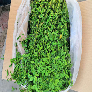 Sausa barība mājdzīvniekiem, vispārējai lietošanai; svars 1 kg; iepakojums 750 g; kategorija: mājdzīvnieku barība