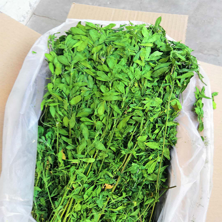 Sausa barība mājdzīvniekiem, vispārējai lietošanai; svars 1 kg; iepakojums 750 g; kategorija: mājdzīvnieku barība