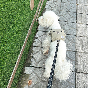 Σακίδιο στήθους-πλάτης για κατοικίδια σε σχήμα αρκούδας, επεκτάσιμο, μοντέλο SHD24-H0015