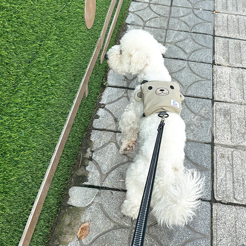 Σακίδιο στήθους-πλάτης για κατοικίδια σε σχήμα αρκούδας, επεκτάσιμο, μοντέλο SHD24-H0015