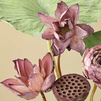 Букет сушени лотосови цветя за холна декорация, дзен стил, боядисани сушени цветя, код на продукта 12345678, категория Друго