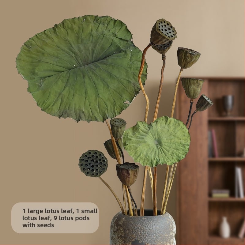 Букет сушени лотосови цветя за холна декорация, дзен стил, боядисани сушени цветя, код на продукта 12345678, категория Друго