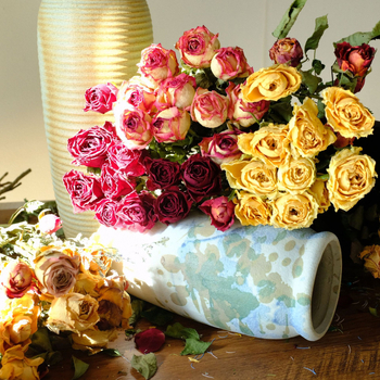 Клонки рози – сушени рози със листни жилки – за букет – опаковка картон – марка Spring keeps flowers