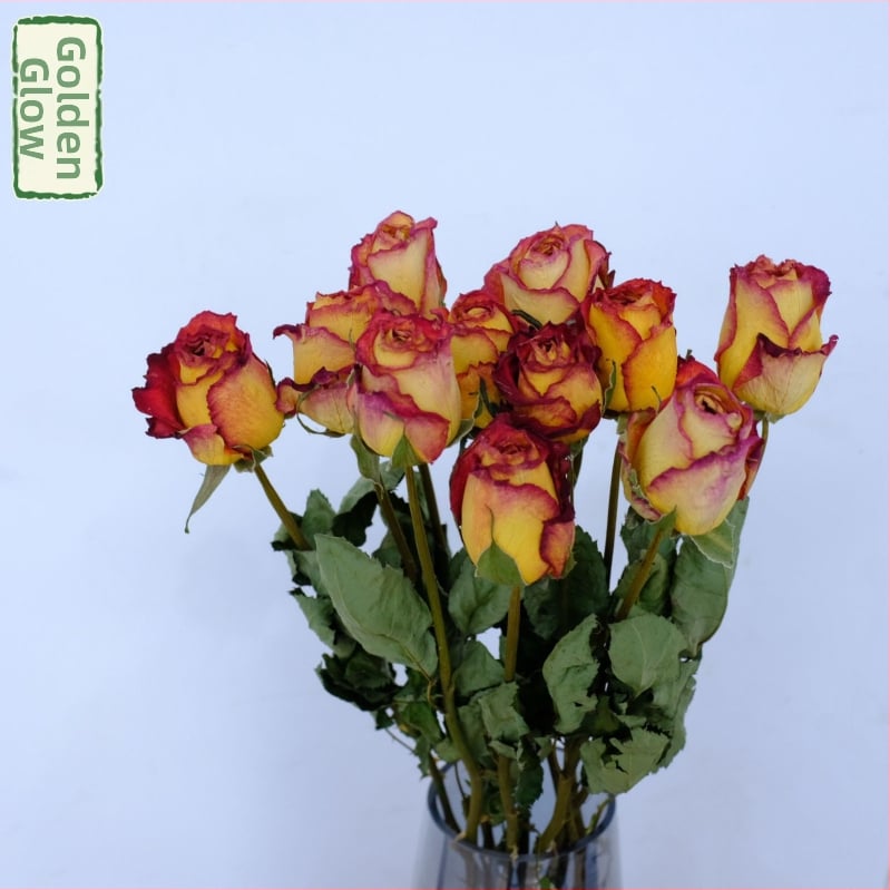 Клонки рози – сушени рози със листни жилки – за букет – опаковка картон – марка Spring keeps flowers