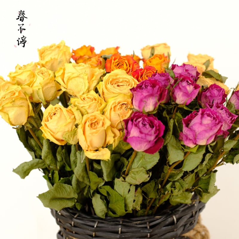 Клонки рози – сушени рози със листни жилки – за букет – опаковка картон – марка Spring keeps flowers